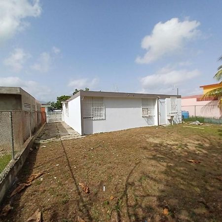 Family House Rain Forest And Beaches Pet Friendly Rio Grande Kültér fotó