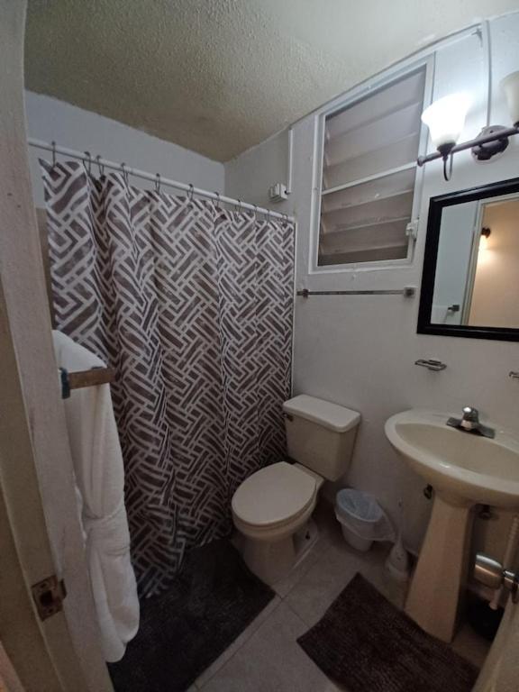 Family House Rain Forest And Beaches Pet Friendly Rio Grande Kültér fotó