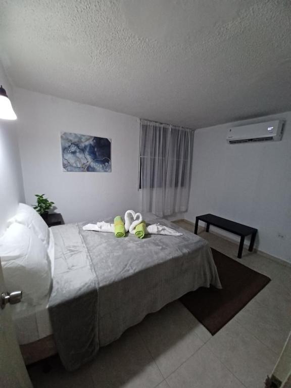 Family House Rain Forest And Beaches Pet Friendly Rio Grande Kültér fotó